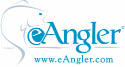 http://eangler.com/proshop/regular.asp?adtag=ps.TALS+Wade+Fishing+Systems&shopby=B&brand_id=541&pageheading=TALS+Wade+Fishing+Systems